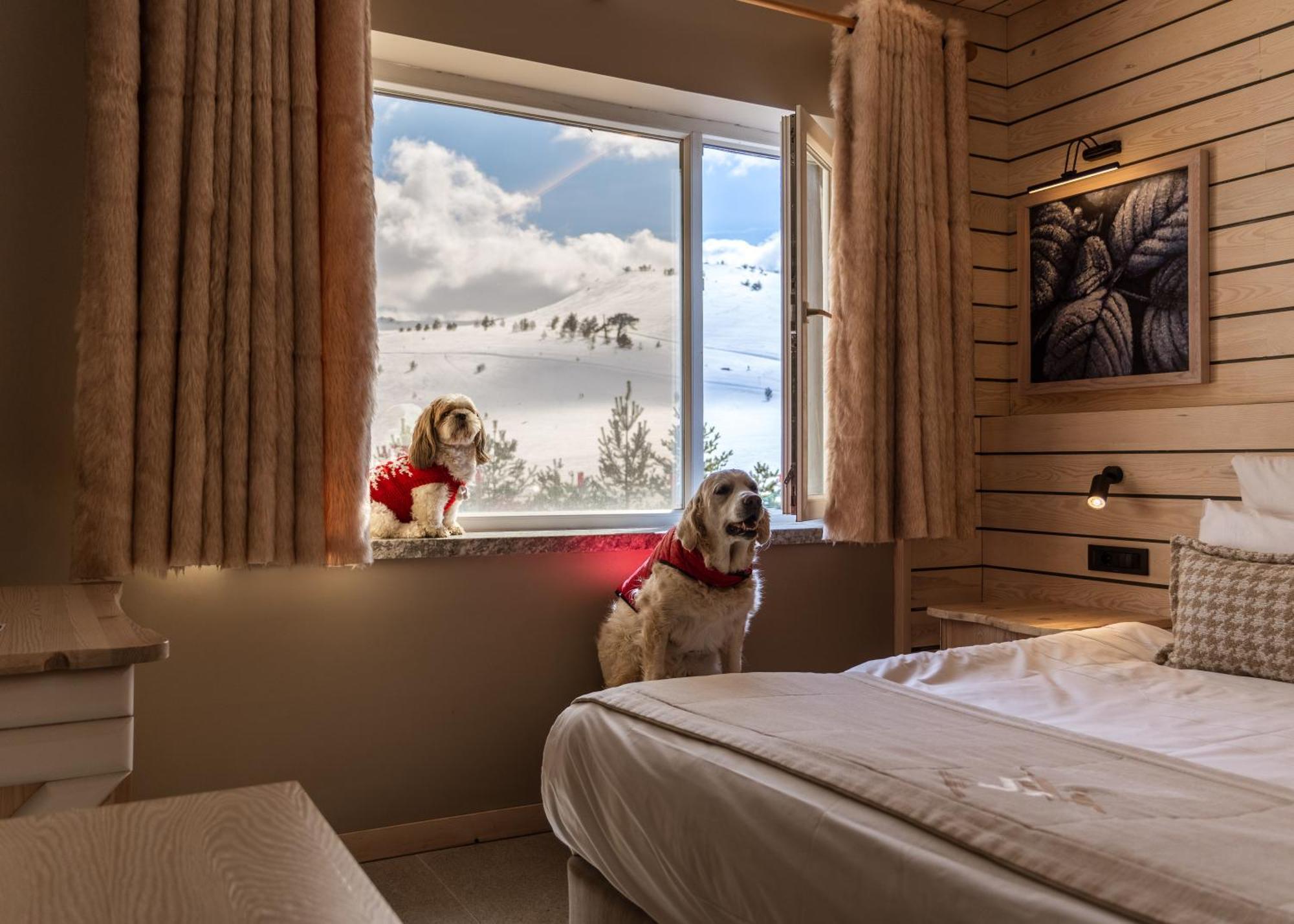 Kartal Hotel Kartalkaya Eksteriør billede